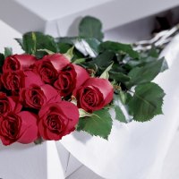 Roses For My Friend