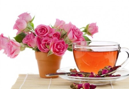 Sweet rose tea for Charismatic - pink roses, roses, cup of tea, delicate, tea, bouquet, still life, petals, sweet, flowers