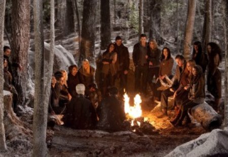 The Twilight Saga: Breaking Dawn - Part 2 - forest, actress, actor, part 2, fire, breaking dawn, people, movie, tree, vampire, the twilight saga