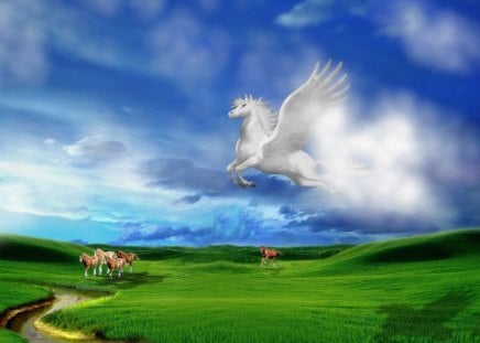 The Pegasus - nice, sky, pegasus, grass