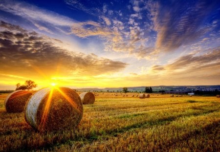 Golden Landscape - beauty, sky, wheat, peaceful, sun, sunset, amazing, view, clouds, sunny, sunrays, golden, grass, rays, sunbeams, landscape, sunlight, lovely, nature, beautiful, splendor, sunrise