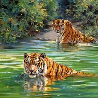 Bathing Tigers