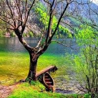 Boat near the calm lake