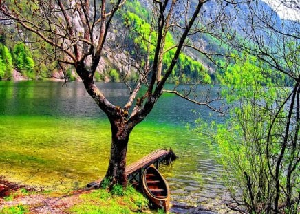 Boat near the calm lake - pretty, calm, lonely, summer, boat, reflection, abandoned, leaves, calmness, shore, riverbank, cliffs, lake, nice, canoe, forgotten, greenery, branches, beautiful, mirrored, slope, lovely, tree, river, nature, clear