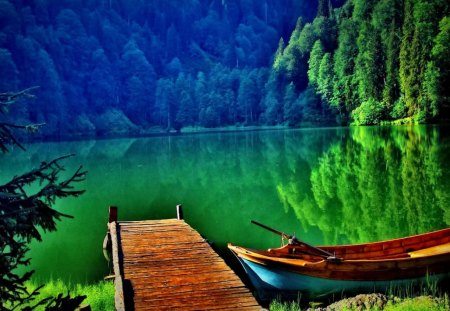 A boat in green pond - lakeshore, nice, trees, greenery, clear, mirrored, green, pond, grass, boat, branches, lake, mountain, shore, lovely, willow, crystral, nature, pier, beautiful