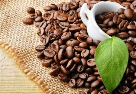 Coffee - petal, drink, coffee, aromatic, leave, sweet, coffee beans, cup