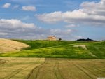 beautiful fields on a tuscan farm