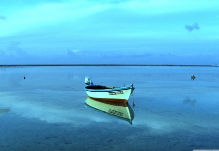 boat on still water in the maldives - still, horizon, sea, boat