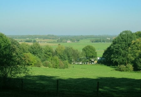 Fields - nature, fields, green, trees