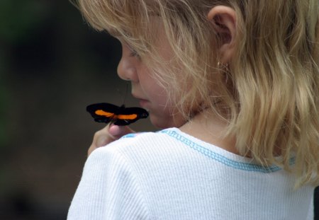 Tiny Dancer - childhood, dancer, girl, orange, tiny, black, butterfly, watching, dance, animals, chil