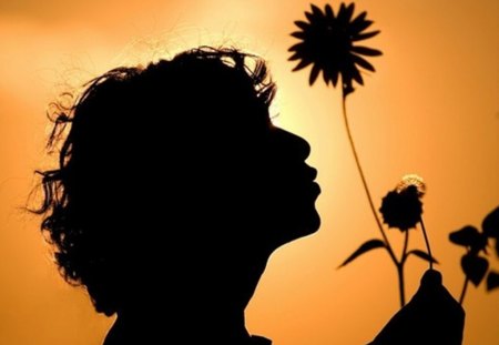 Good Morning - morning, silhouette, collage, child, flower