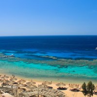 view of a reef from hotel room