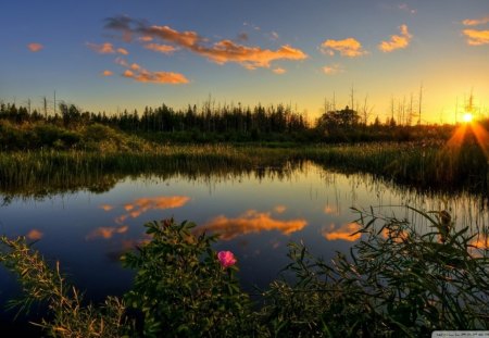 great lake sunset scenery - lake, reflection, clouds, sunset, weeds