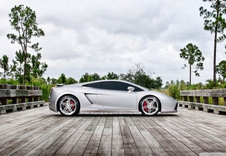 lambroghini gallardo - trees, wooden, car, bridge