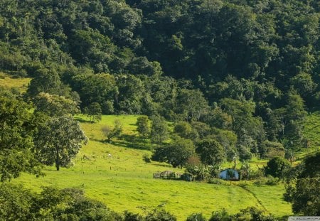 loneliness - forest, farm, mountain, fields