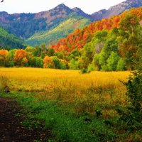 provo canyon utah in autumn