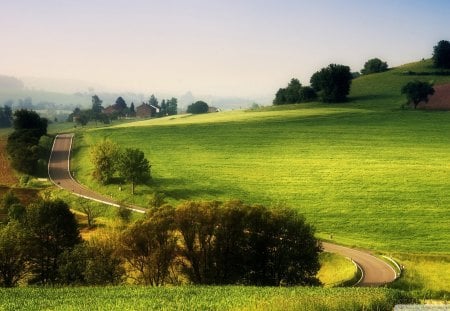 wonderful rural landscape - trees, fog, fields, road, farms