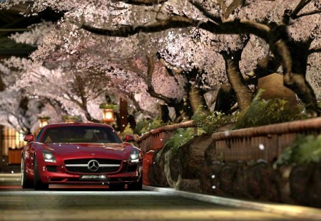 driving - cars, mercedes, outdoors, trees