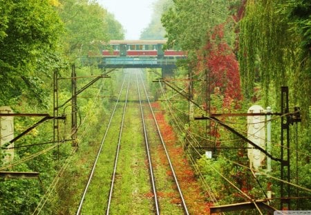 train passing over train tracks - train, overpass, trees, tracks