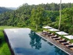 infinity-jungle-pool