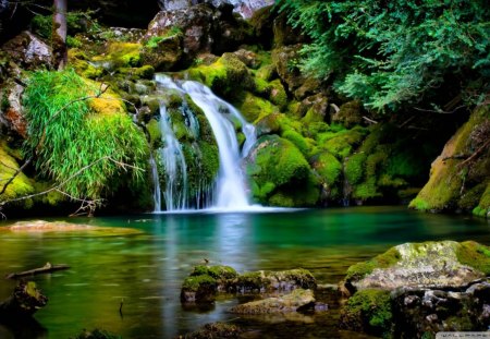 waterfall over green stones - moss, stones, pool, waterfall