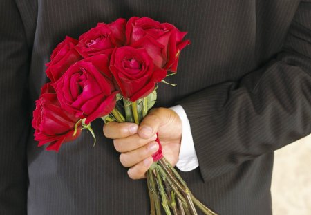 I'll Propose - fresh, lovely, roses, red