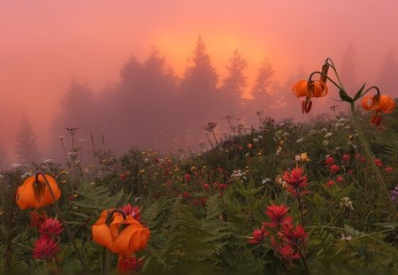 Mountain Beauty - nature, mountain, sun, beauty