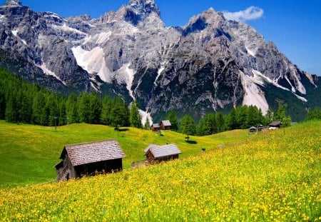 Mountain cottages - nice, sky, houses, mountain, trees, greenery, peaks, cabins, lovely, slopes, cottages, nature, beautiful, green, flowers, grass