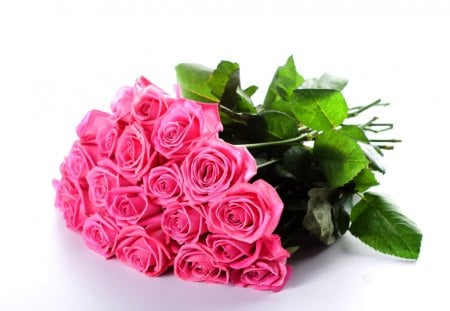 PINK ROSES - roses, blossoms, bouquet, pink