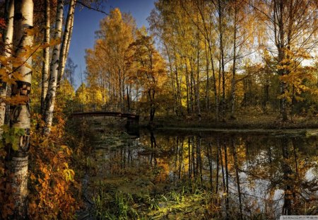 great autumn riverscape - leaves, trees, footbridge, river