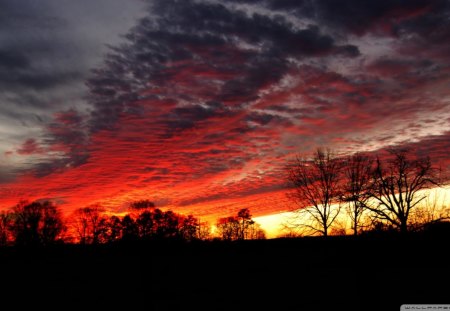 the day is done - silhouette, trees, sunset, clouds