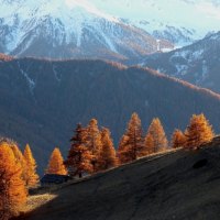 early winter mountain landscape