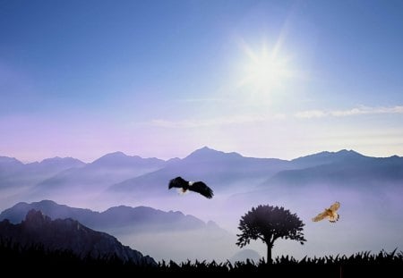 Twilight Flight - birds, summer, lavender, blue, evening, grass, spring, twilight, mist, flight, hawk, sky, sun, trees, fog, eagle, mountains, shine