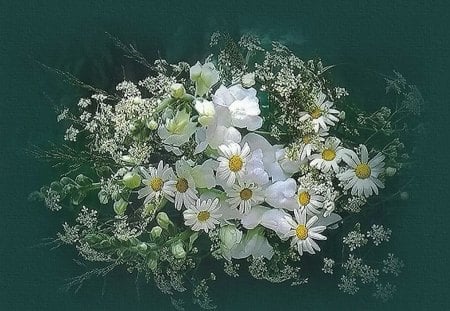 Daisies on green - daisies, flowers, white, yellow, green