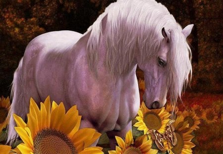 night the moon flowers and white mare - flowers, moon, white, and, mare, night, the