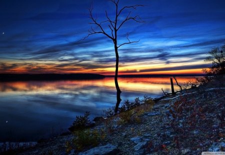 beautiful dusk landscape - dusk, clouds, river, tree, shore