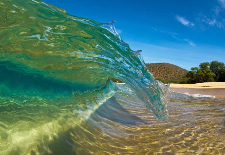 Maui Curl - water, beach, surf, wave