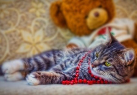 Cat - animal, bead, toy, cat