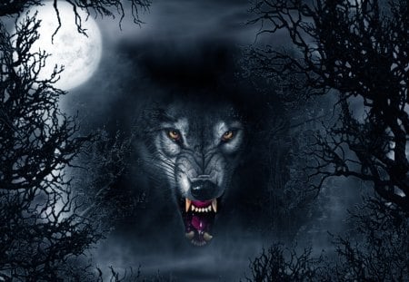 Evil Lurks - gothic, night, evil, wolf