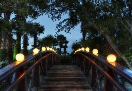 Bridge Lights - nature, park, wooden bridge, trees