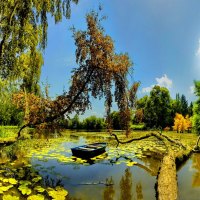 Small boat in pond