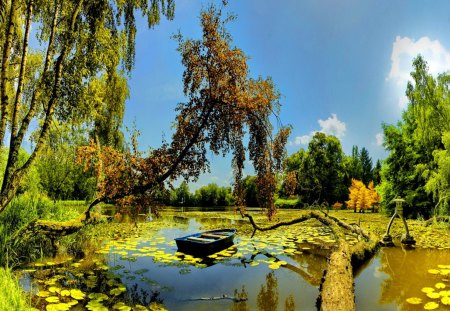 Small boat in pond - nice, lake, sky, trees, summer, lovely, willow, lillies, nature, reflection, clouds, beautiful, river, pond