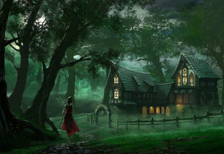 LIGHTS IN THE FOREST - maidens, trees, wanderer, sanctuary, night, moonlight, girls, homes, spooky, forests, lost, mystery, cottages