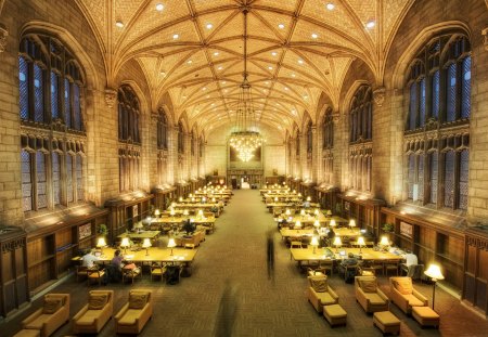 Harper Memorial Library - library, reading room, harper memorial library, beautiful, chicago, usa, lights