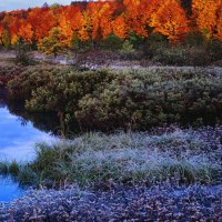 autumn frost