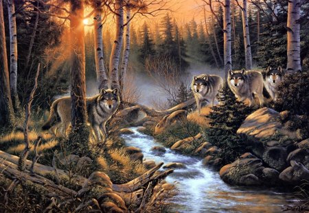 Wolves at Creek - lover, animals, eyes, sunbeam, predators, hunters, wolves, view, forever, artwork, branches, streams, scenic, light, glanced, wolf, nature, forest, beautiful, wild, canine, sunrise, beauty, wolf pack, trees, howl, pack, mist, family, dogs, grasses, paintings, cute, splendid, magnificent, love, rays, predator, forests, lovely, together, scenery, fog, splendor