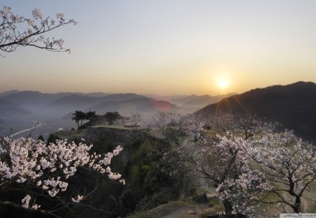 gorgeous sunset landscape - cherry blossom, river, hills, sunset, mist