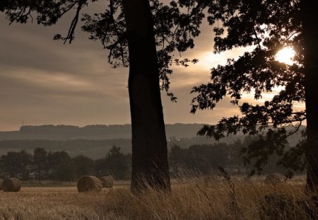 hay bales in the field at sundown - hay, clouds, field, bales, tree, sunset