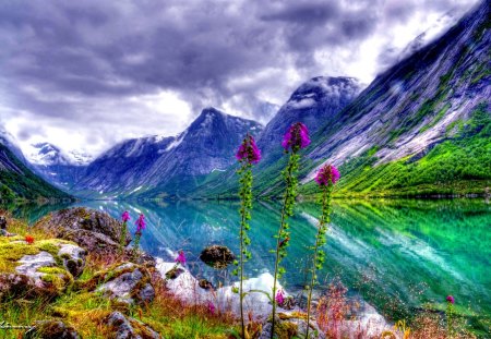 RIVER VALLEY - sky, mountains, river, flowers, nature, hdr