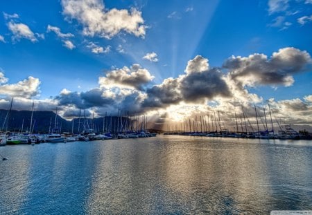 harbour marina in hawaii - harbour, clouds, sailboats, marina, sunrays